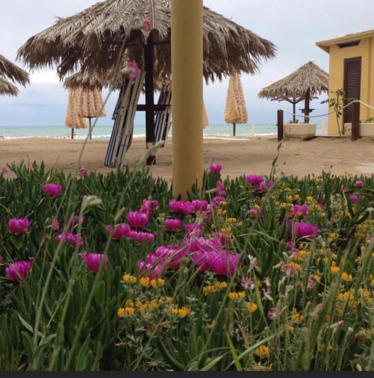 Hotel Cerrano Silvi Marina Buitenkant foto