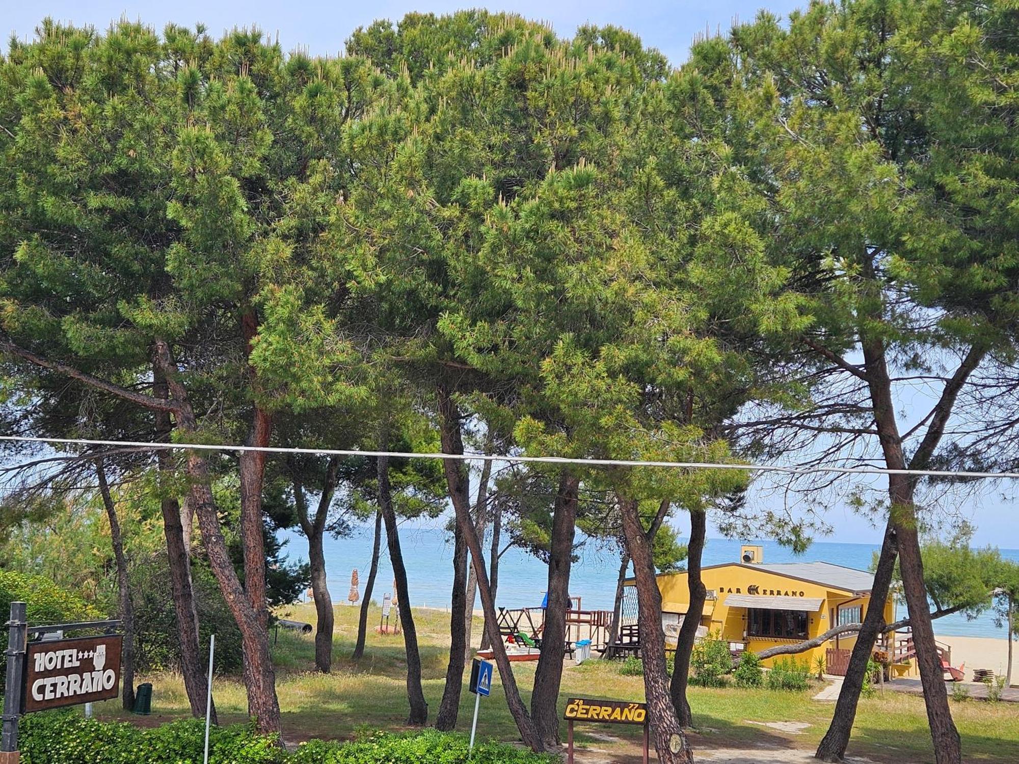Hotel Cerrano Silvi Marina Buitenkant foto