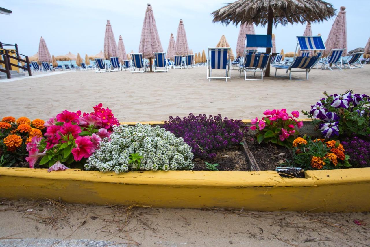 Hotel Cerrano Silvi Marina Buitenkant foto